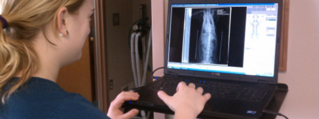 veterinary technician looking at a digital x-ray on her laptop as a veterinary diagnostic tool